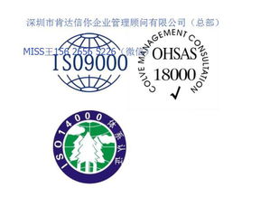 三標(biāo)體系認(rèn)證申請(qǐng)?jiān)诰€化 企業(yè)如何借力專(zhuān)業(yè)咨詢服務(wù)高效通關(guān)